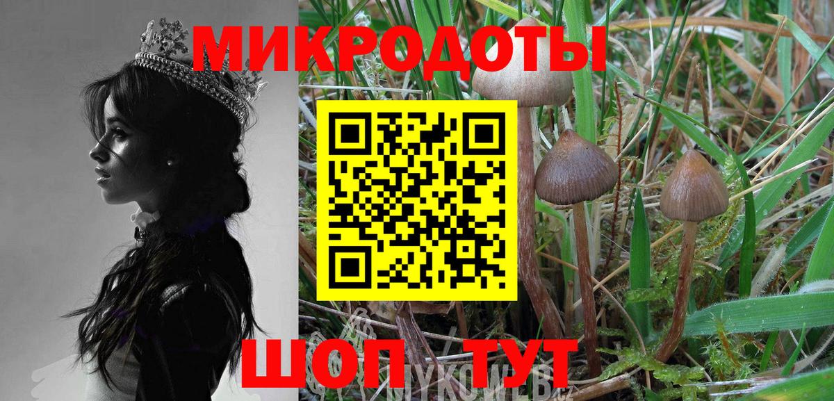 Псилоцибиновые грибы ЛСД Сарапул